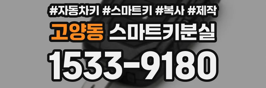 고양동 스마트키분실