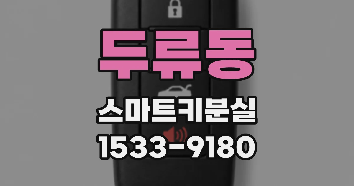 두류동 스마트키분실