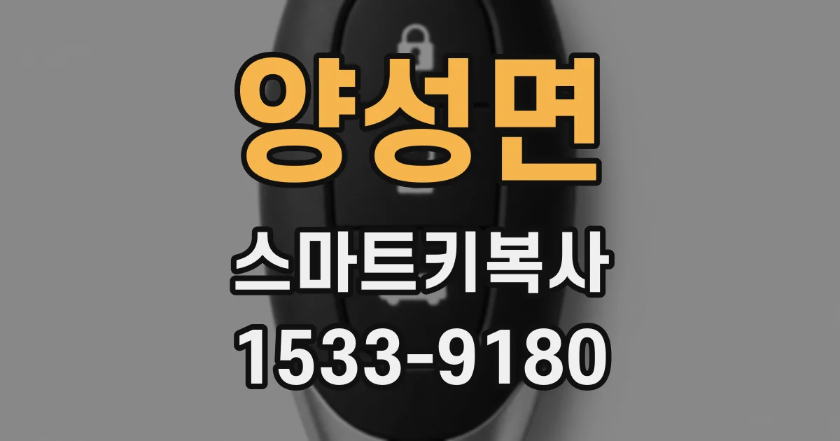 양성면 스마트키복사
