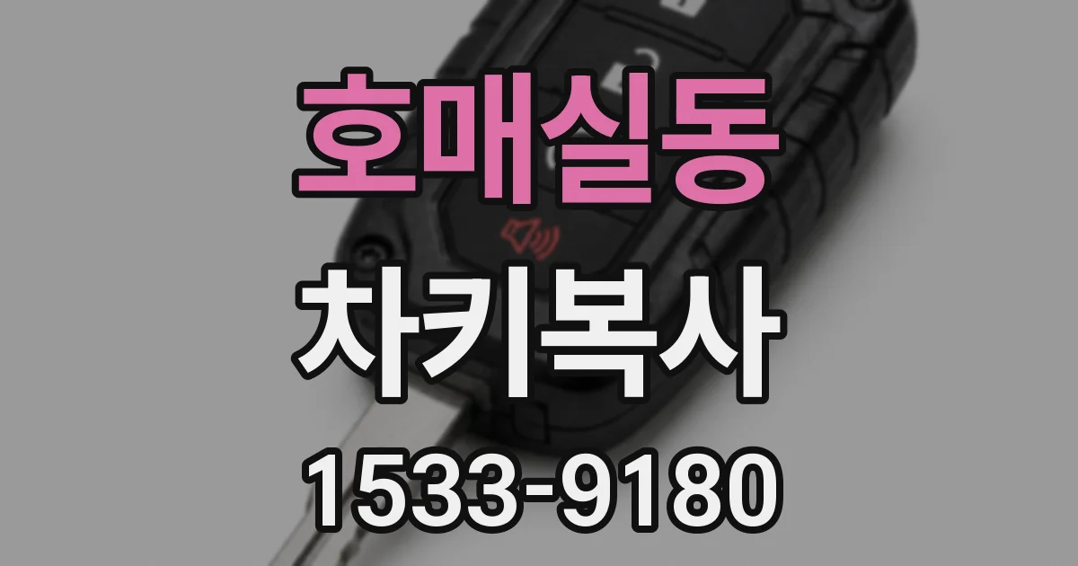 호매실동 차키복사