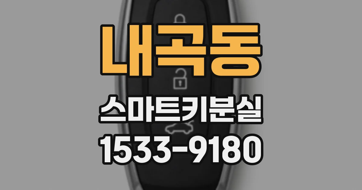 내곡동 스마트키분실