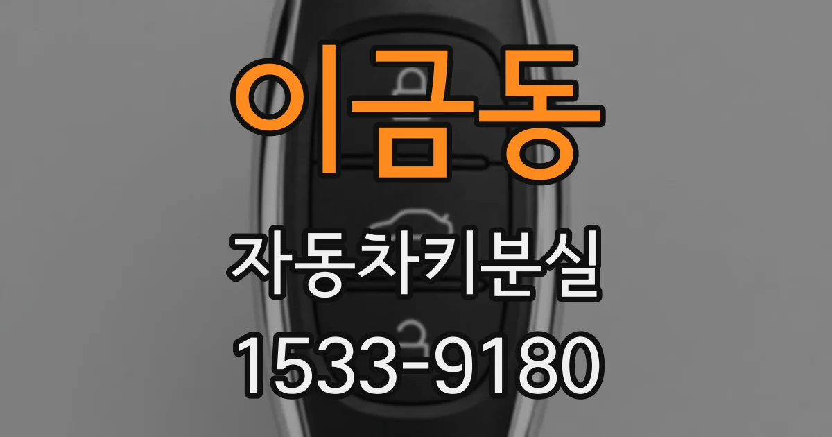 이금동 자동차키분실
