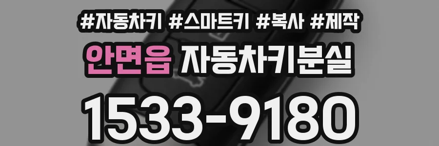 안면읍 자동차키분실