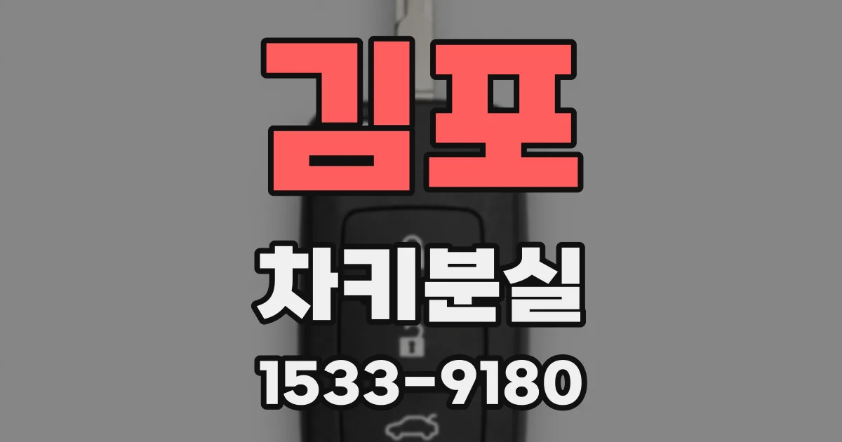 김포 차키분실