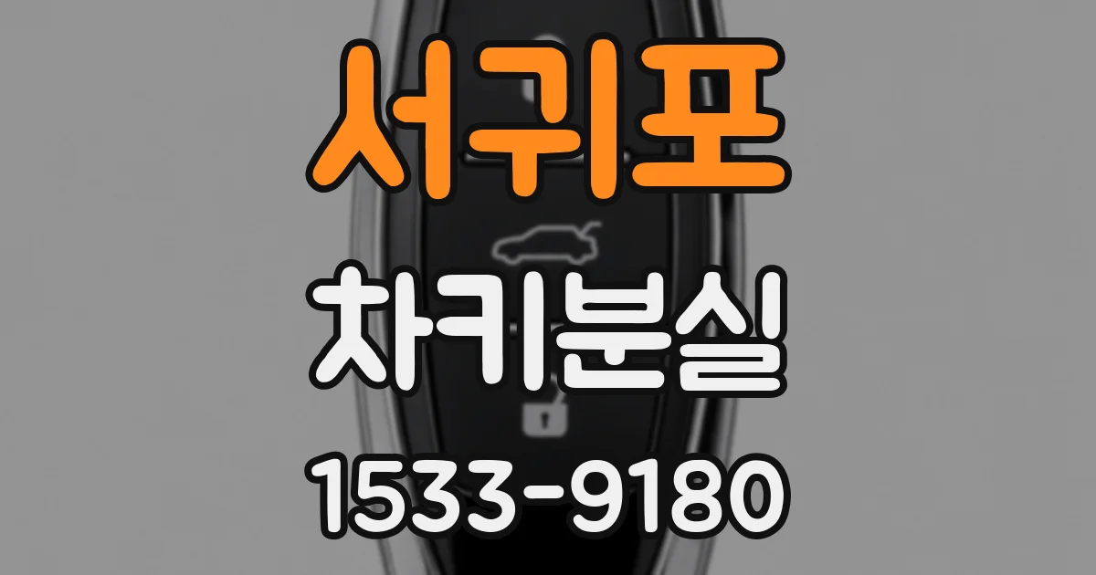 서귀포 차키분실