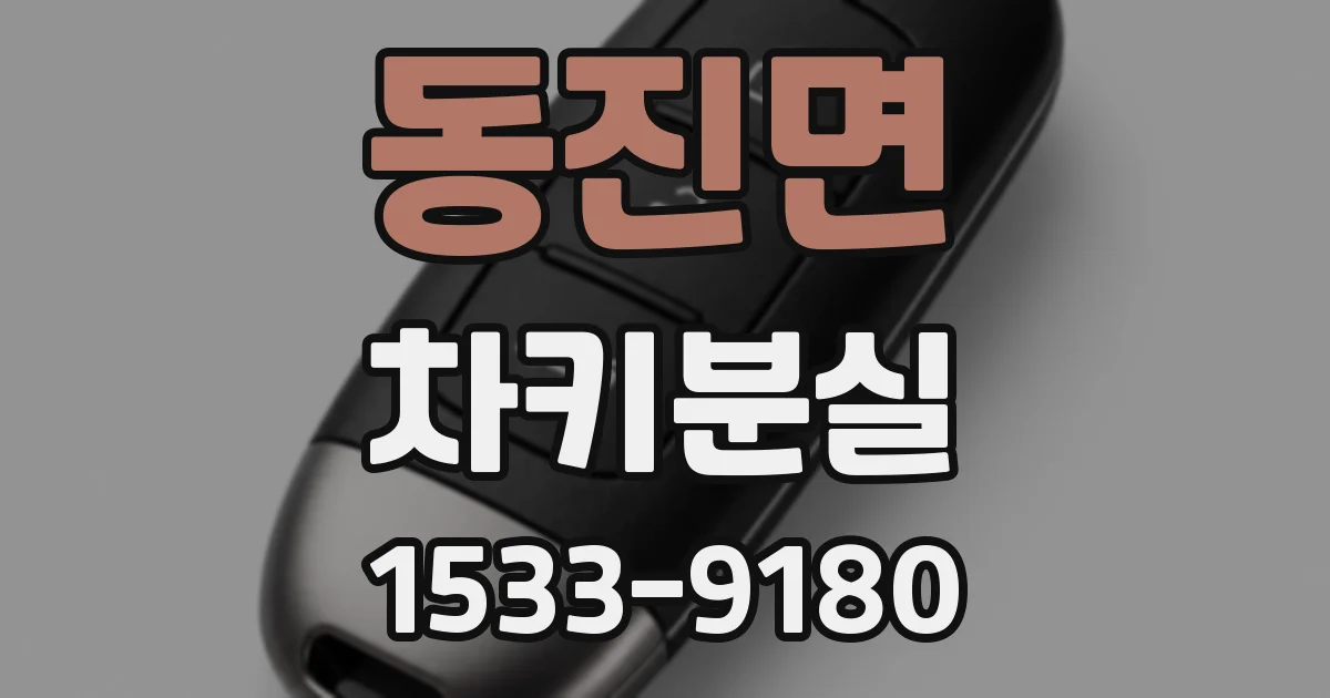 동진면 차키분실