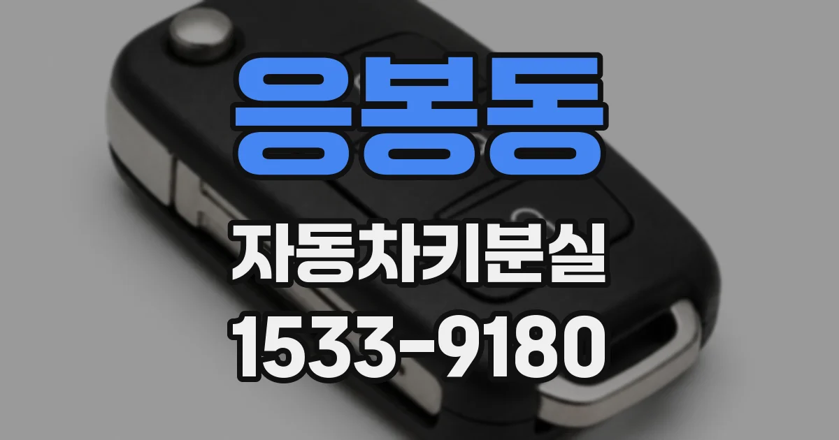 응봉동 자동차키분실