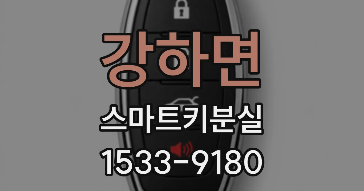 강하면 스마트키분실