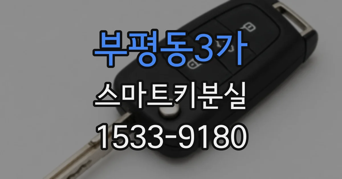 부평동3가 스마트키분실