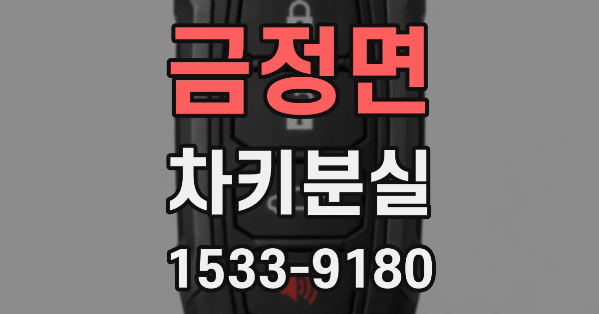 금정면 차키분실