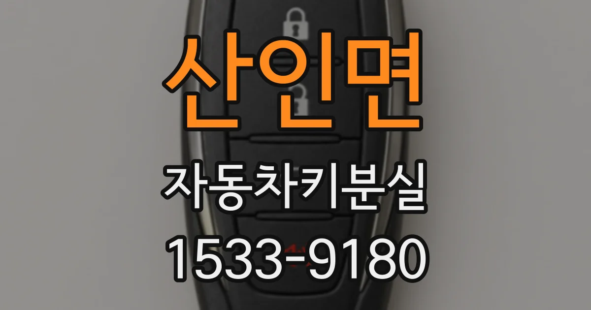 산인면 자동차키분실