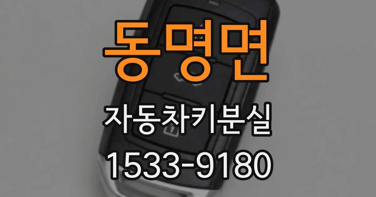 동명면 자동차키분실