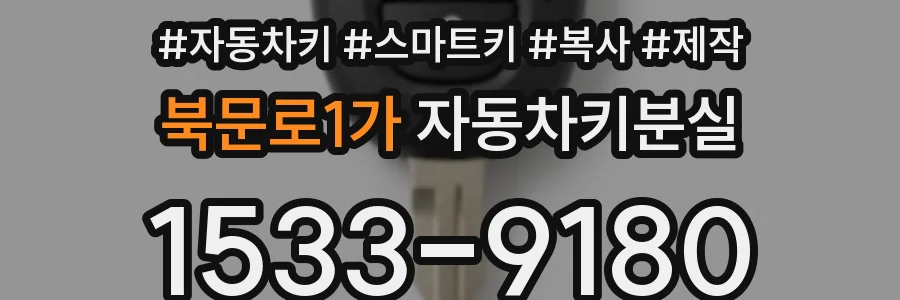 북문로1가 자동차키분실