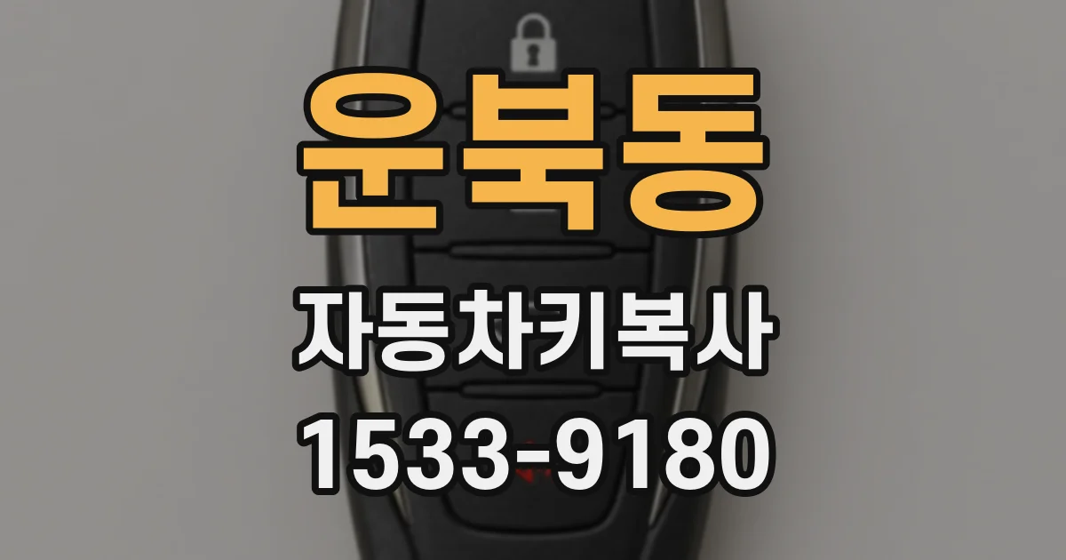 운북동 자동차키복사