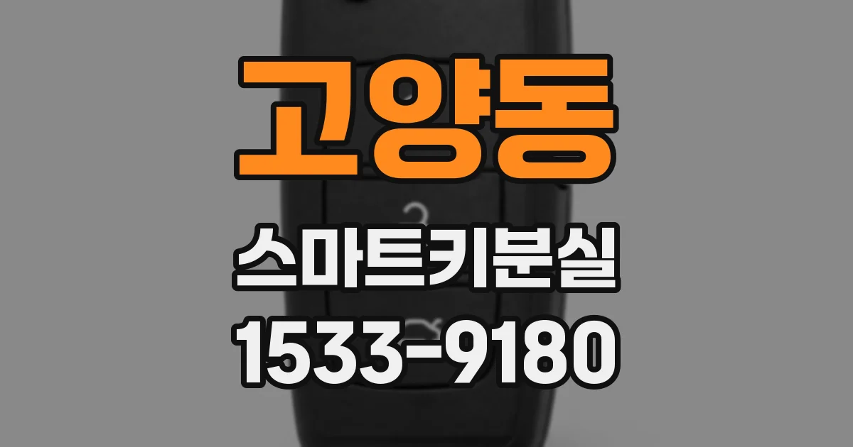 고양동 스마트키분실