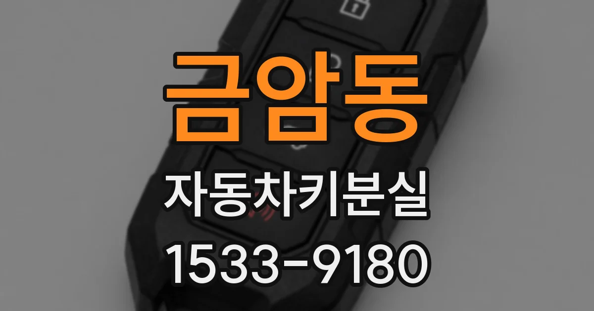 금암동 자동차키분실