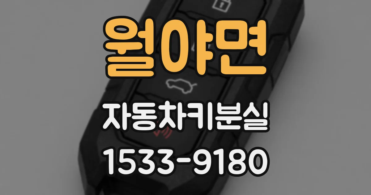 월야면 자동차키분실