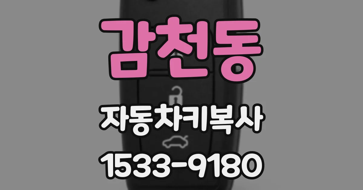 감천동 자동차키복사