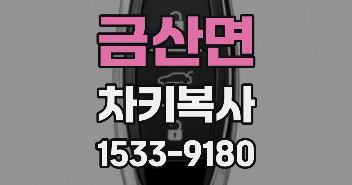 금산면 차키복사