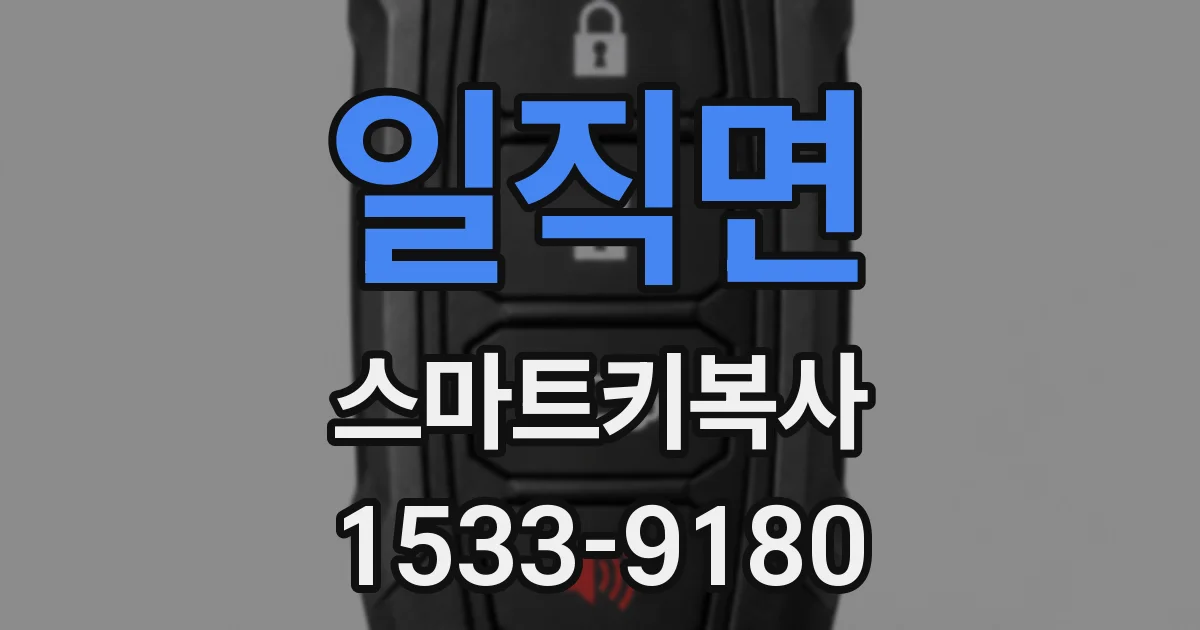 일직면 스마트키복사