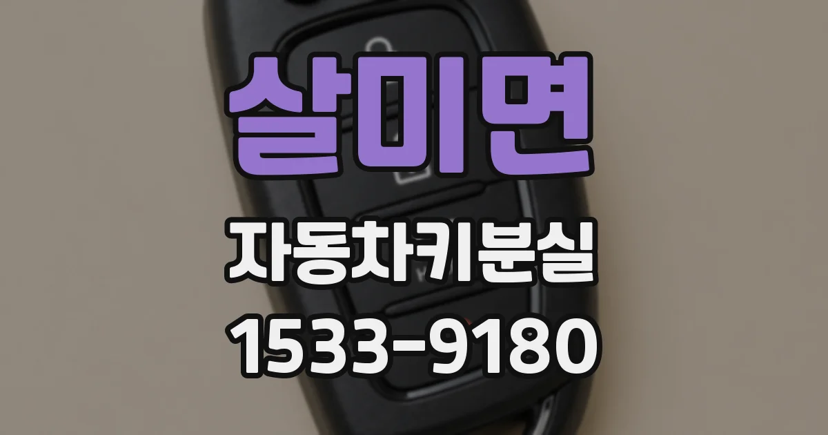 살미면 자동차키분실