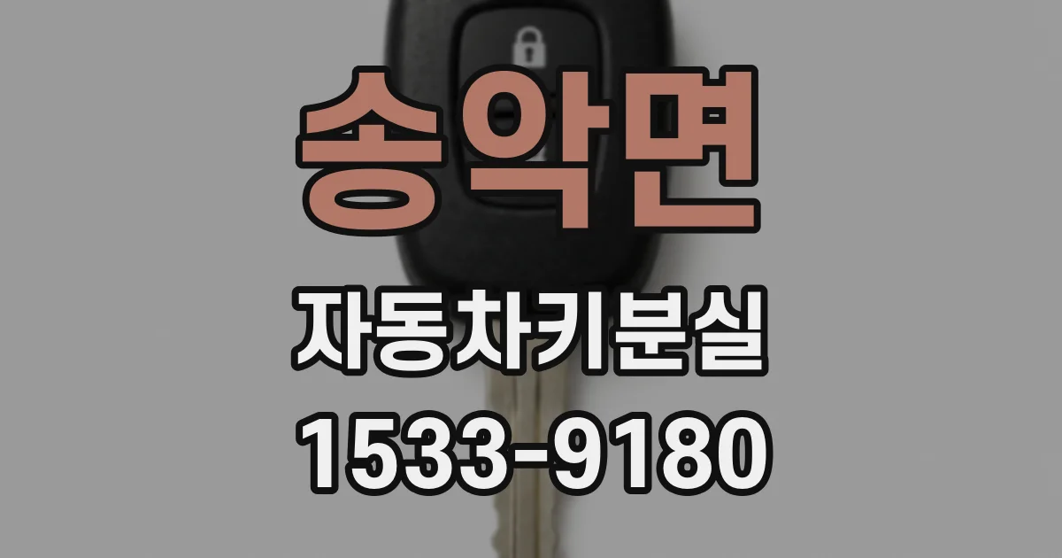 송악면 자동차키분실