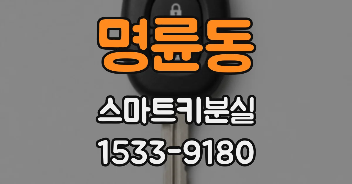 명륜동 스마트키분실