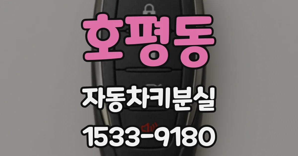 호평동 자동차키분실