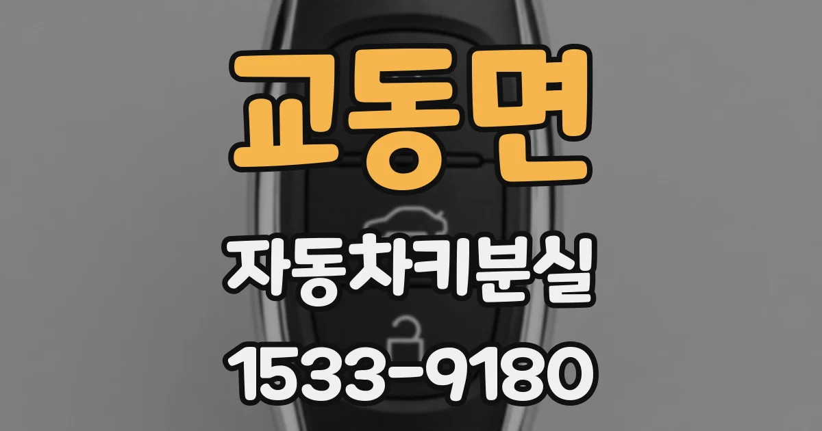 교동면 자동차키분실