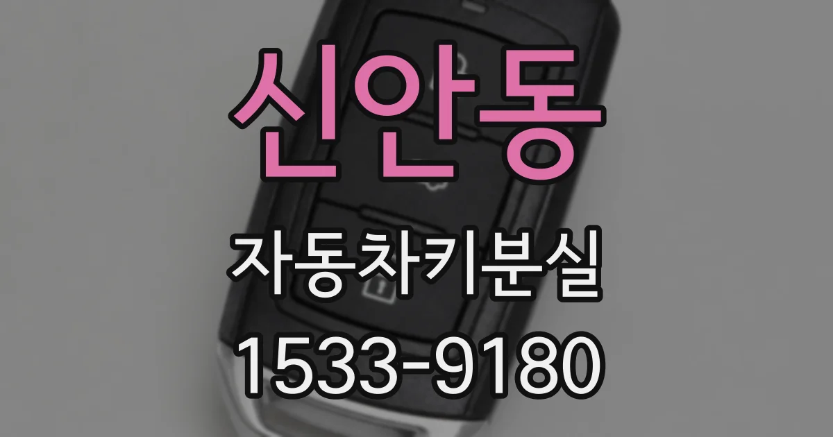 신안동 자동차키분실
