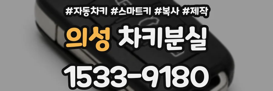 의성 차키분실