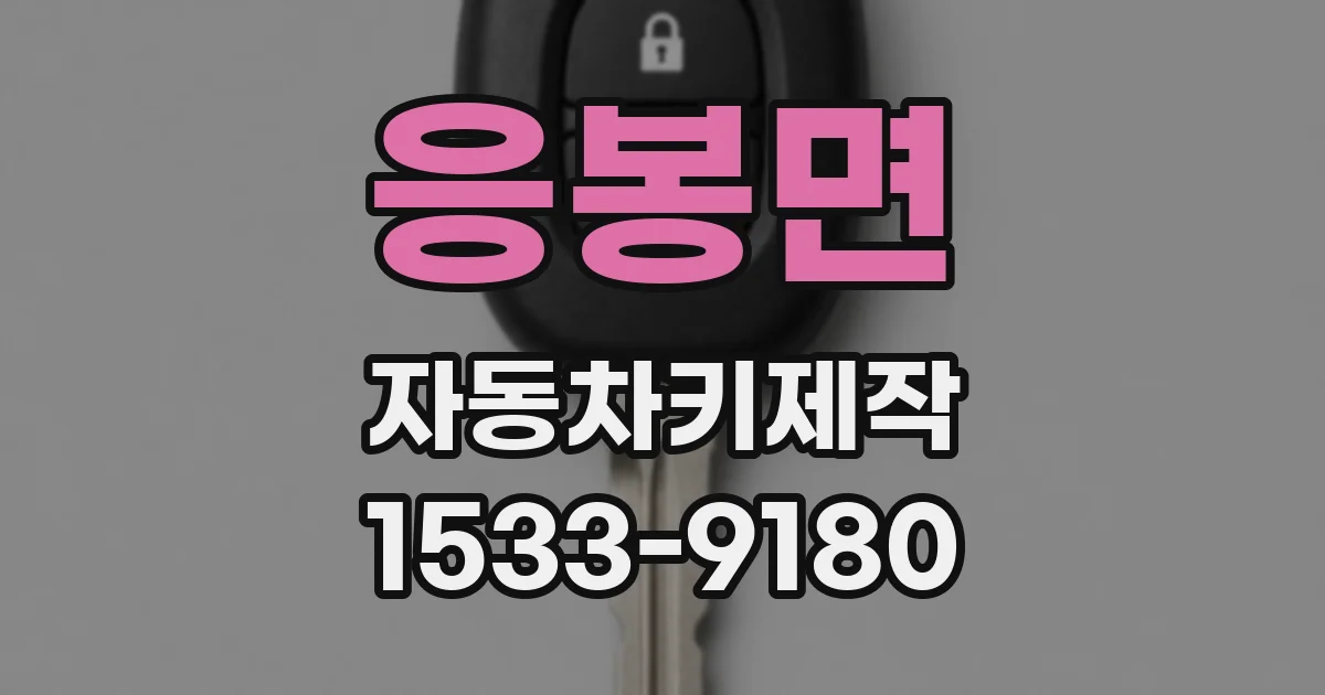 응봉면 자동차키제작