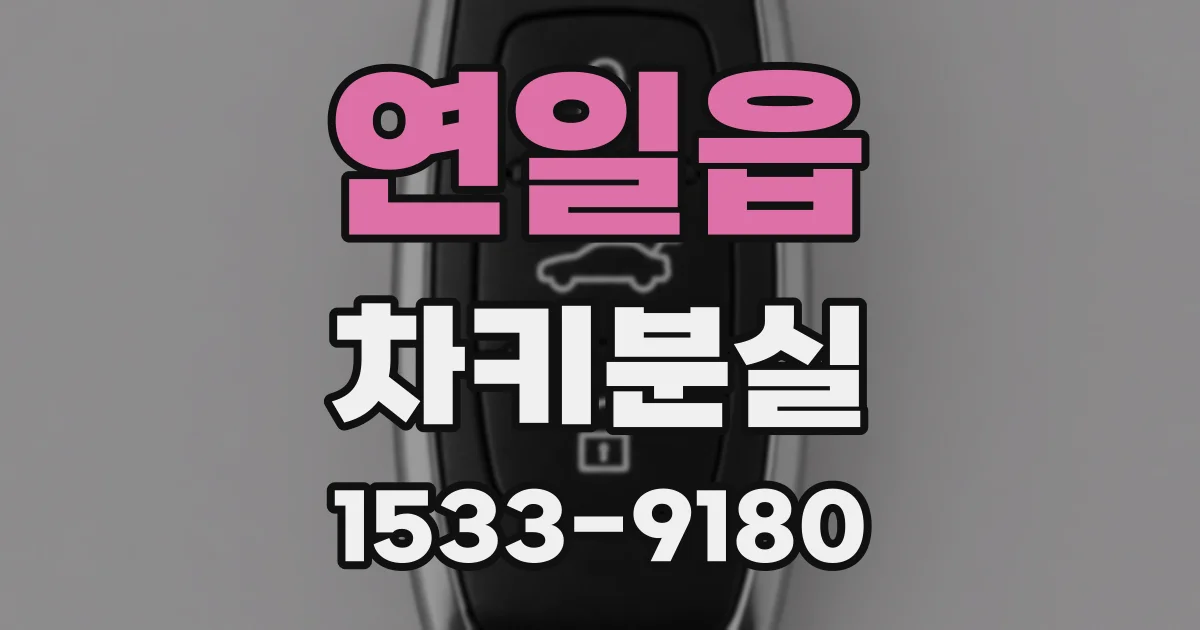 연일읍 차키분실