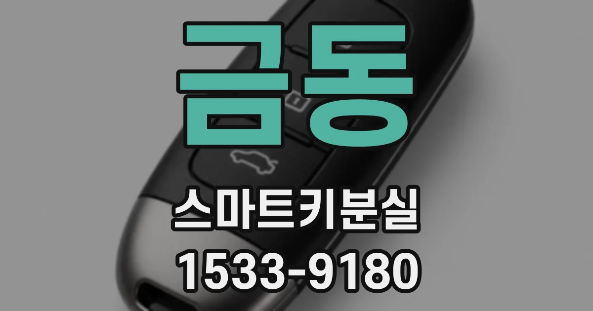 금동 스마트키분실