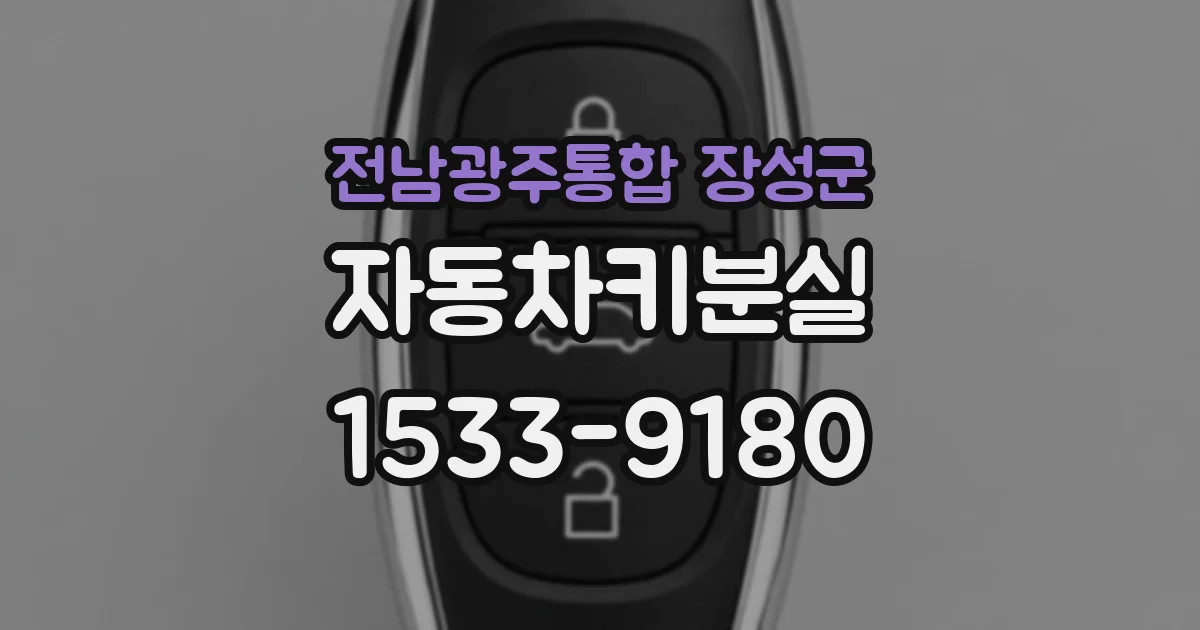 전남광주통합 장성군 자동차키분실