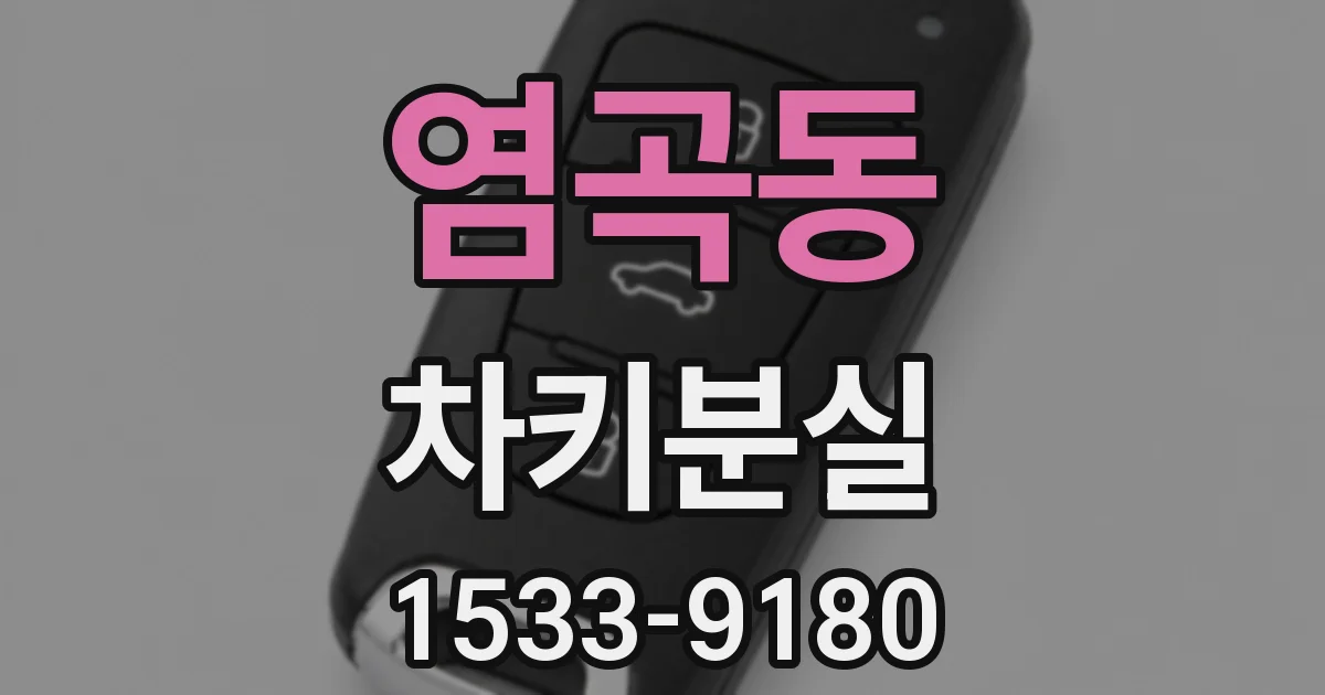 염곡동 차키분실