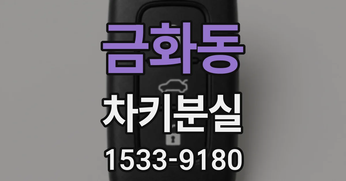 금화동 차키분실