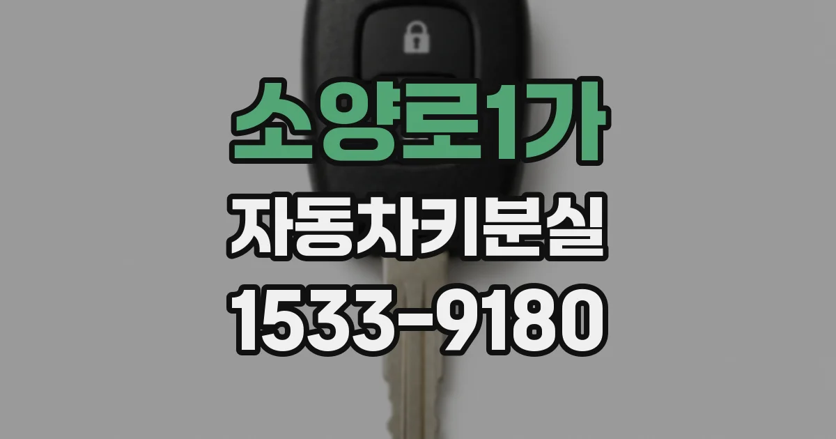 소양로1가 자동차키분실
