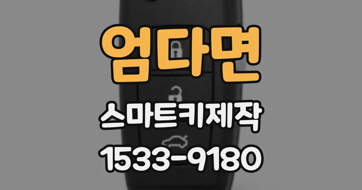 엄다면 스마트키제작