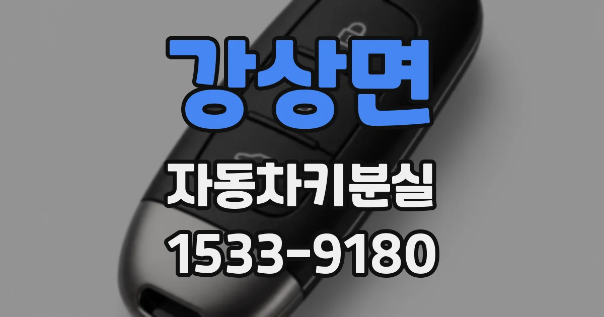 강상면 자동차키분실