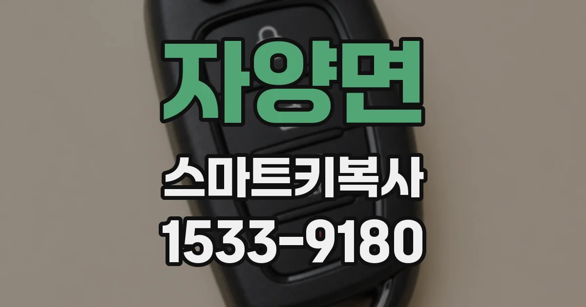 자양면 스마트키복사