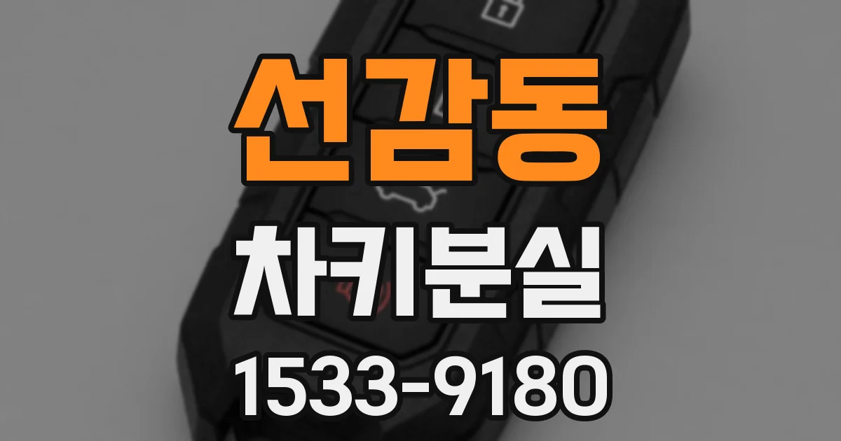 선감동 차키분실