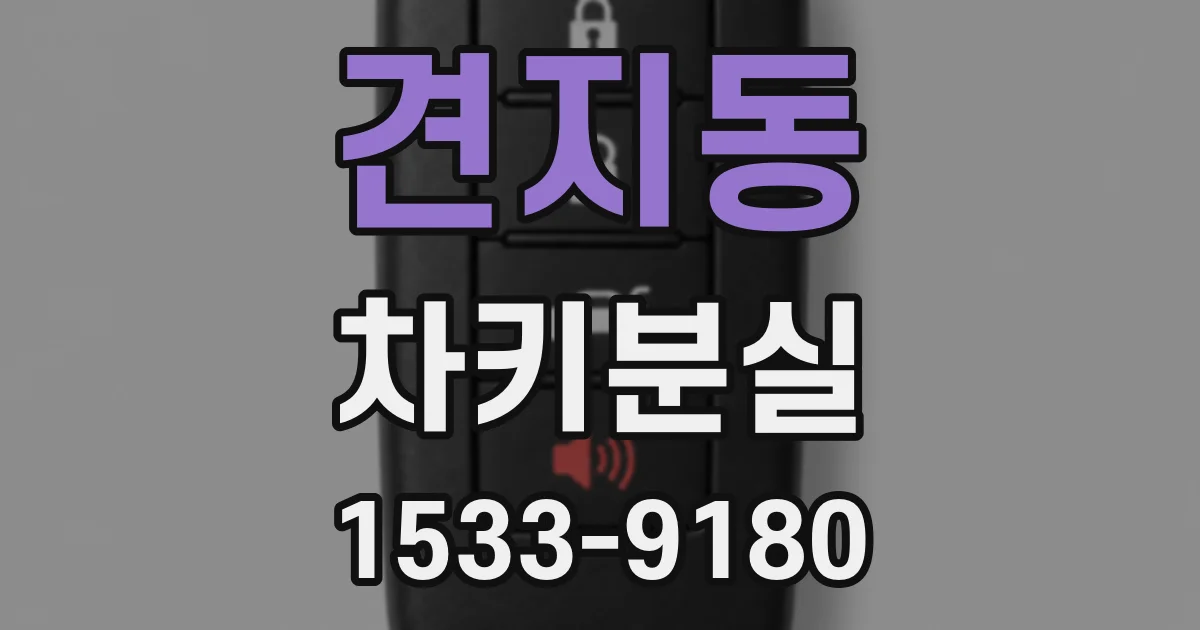 견지동 차키분실