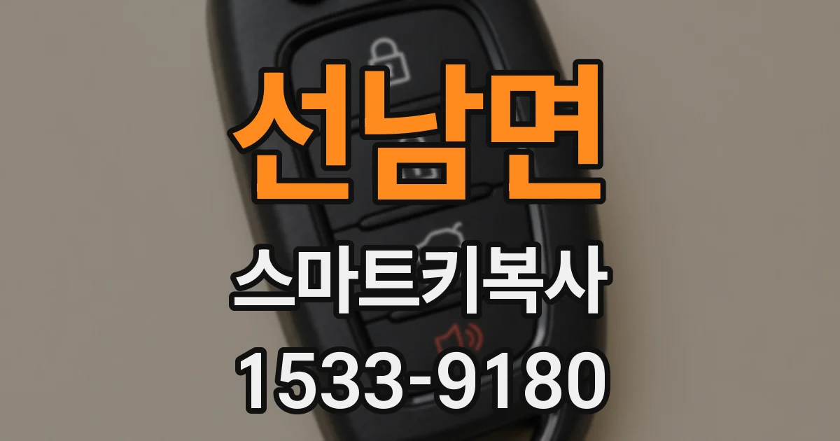 선남면 스마트키복사