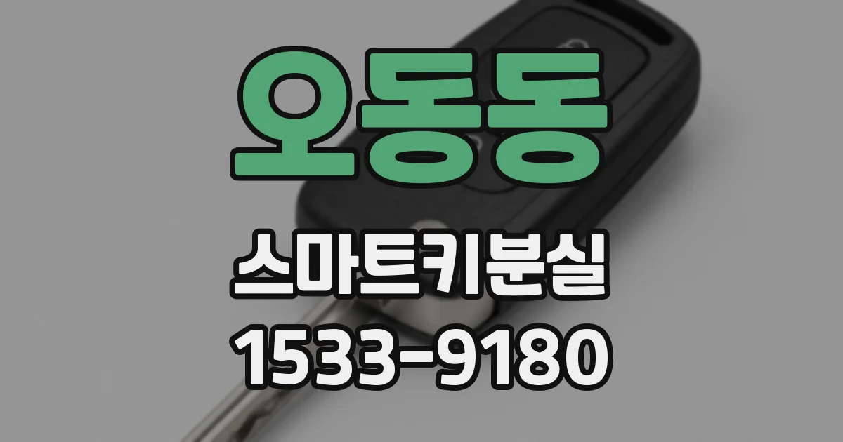 오동동 스마트키분실