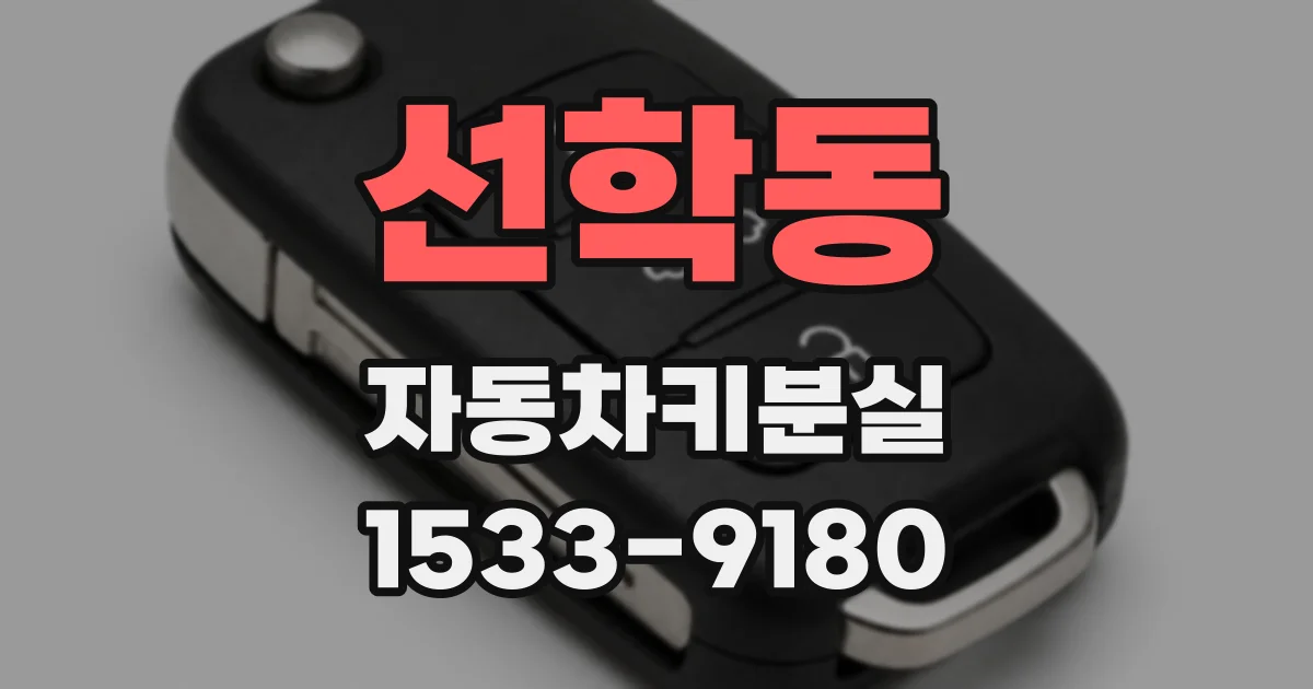 선학동 자동차키분실