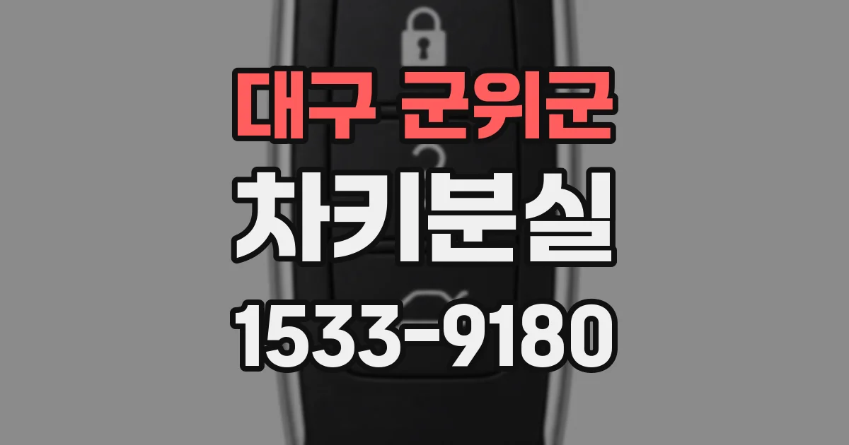 대구 군위군 차키분실