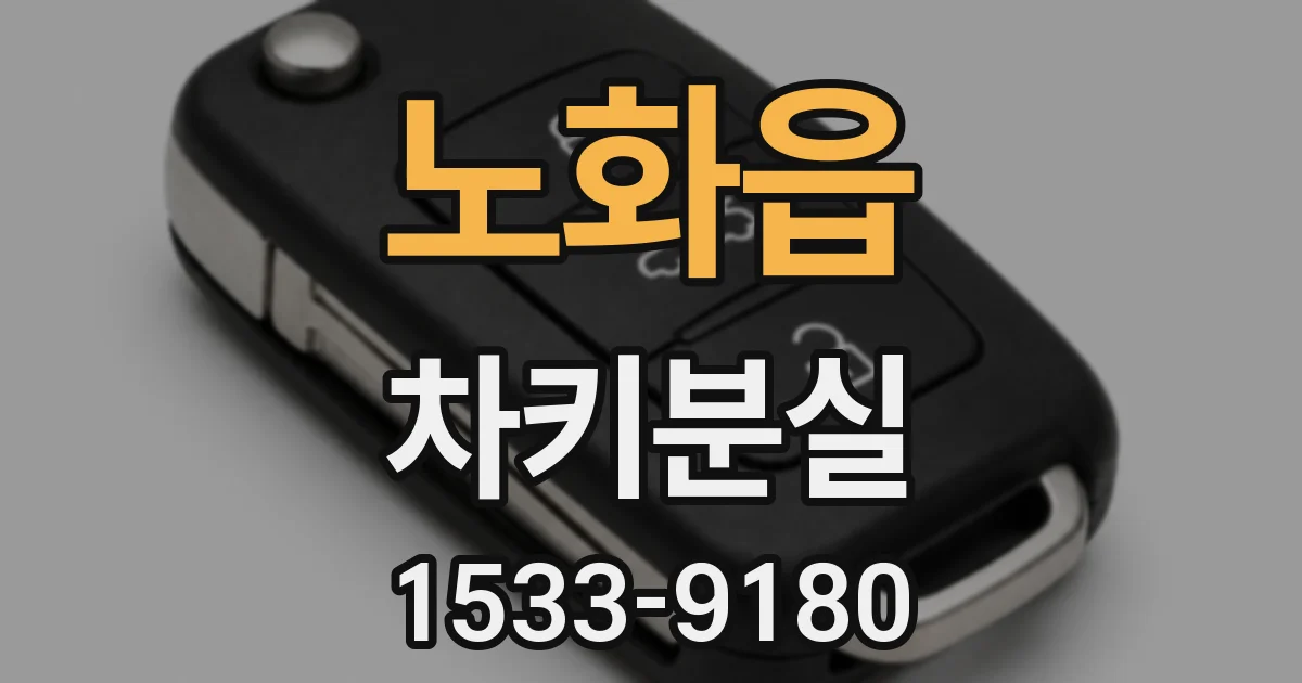 노화읍 차키분실