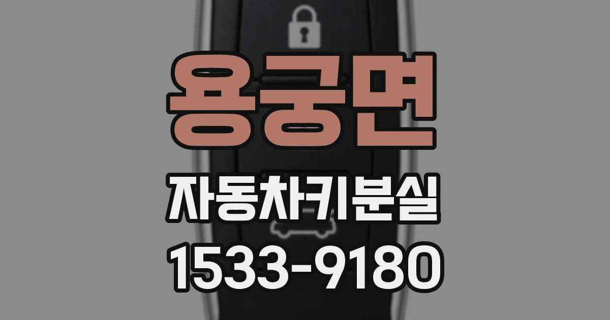 용궁면 자동차키분실
