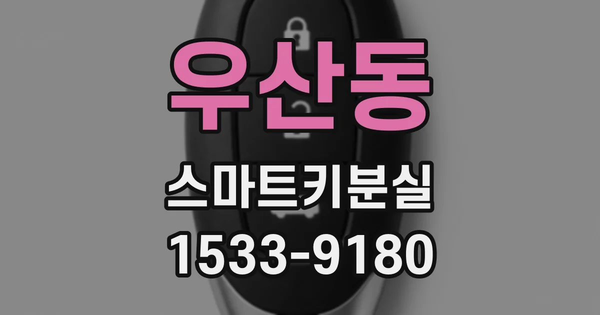 우산동 스마트키분실